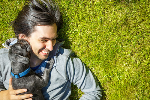 Dog Male Owner