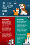 Flies and Mosquitoes of Cats