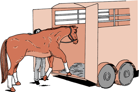 Before traveling with a horse, practice entering and exiting the trailer.