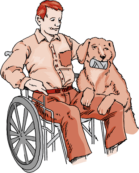 Service dogs provide assistance and companionship.
