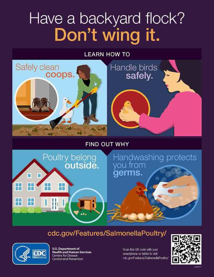 Have a backyard flock?