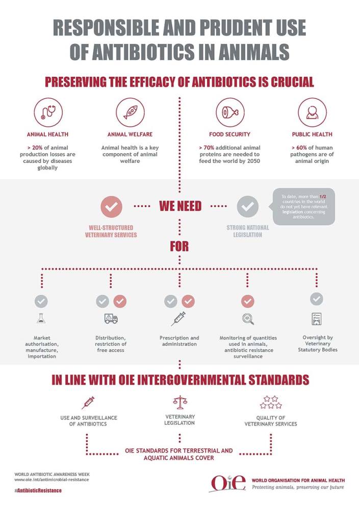 RESPONSIBLE AND PRUDENT USE OF ANTIBIOTICS IN ANIMALS