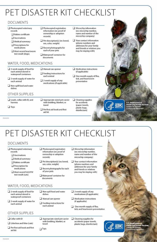 Emergency Checklist
