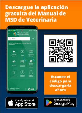 MSD_QRCOde_Vet_ES_262