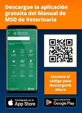 MSD_QRCOde_Vet_ES_322