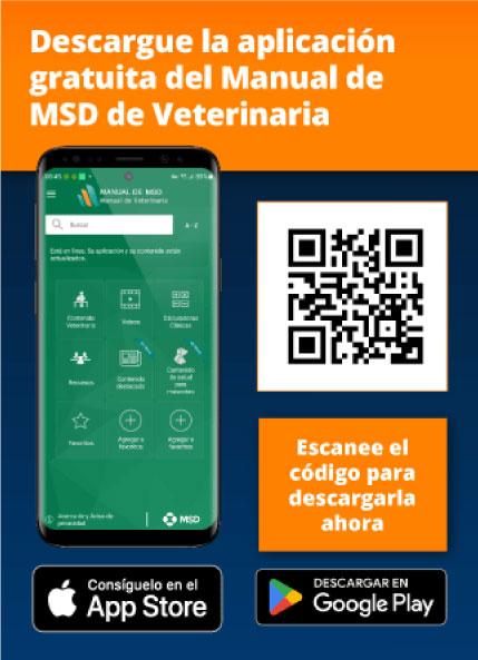 MSD_QRCOde_Vet_ES_429