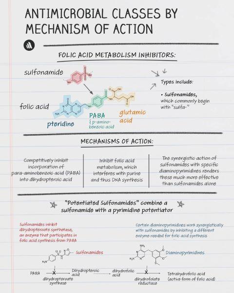 Mechanisms of Action: Folic Acid Metabolism Inhibitors